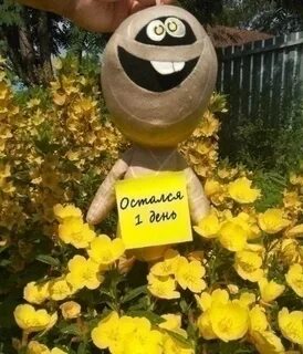 Заказов остается