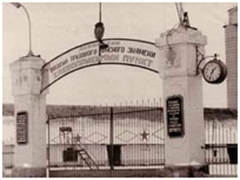 Лабинск элеватор. Элеватор лабинск. ооо элеватор усть-лабинск. лабинский элеватор начальник лаборатории. директор лабинского элеватора.