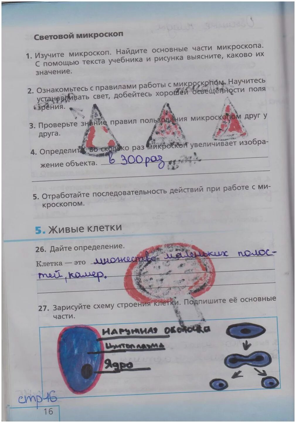 Биология 5 класс рабочая тетрадь стр 76. Рабочая тетрадь биология 5 класс стр 16. Биология 5 класс рабочая тетрадь Сонин. Биология 5 класс рабочая тетрадь страница 16. Рабочая тетрадь по биологии 5 класс страницы.