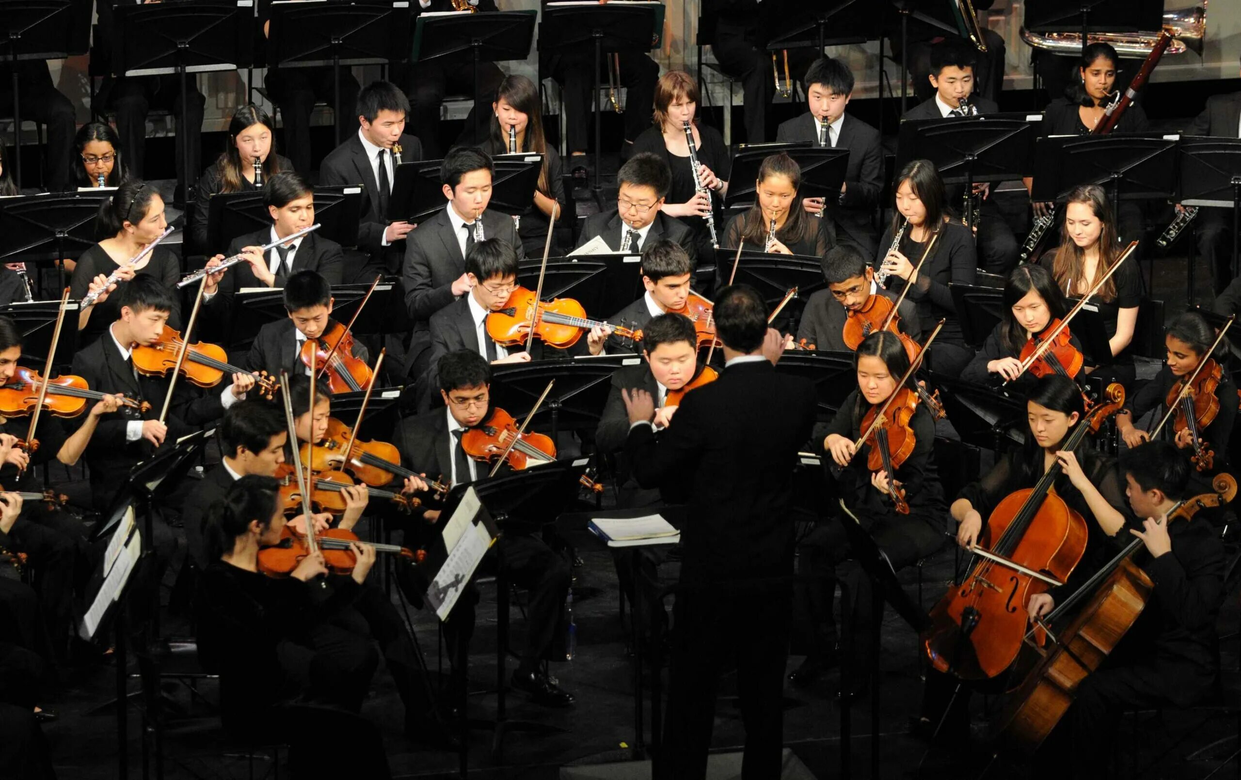 Instrumental orchestra