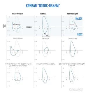 Кривая потока
