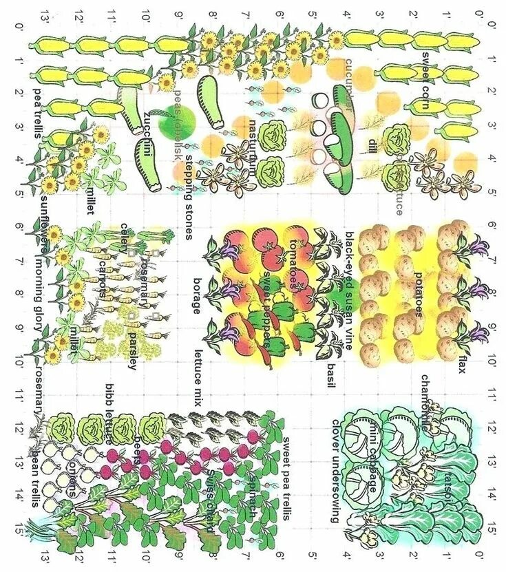 План грядок на огороде схема Pin on Vegetable Gardening