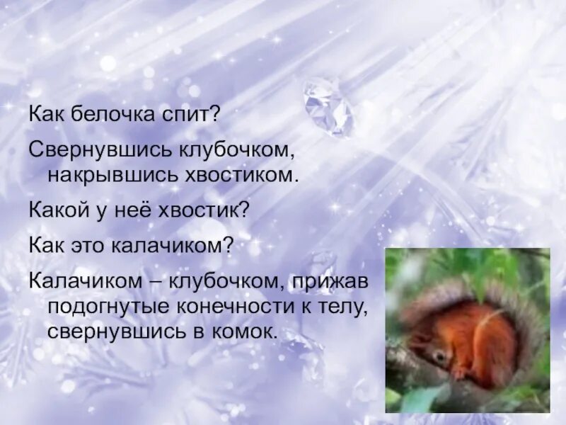 Сказка как белочка зимует. Чтение г.скребицкий «как белочка зимует».. рассказ скребицкого как белочка зимует. г.скребицкий как белочка зимует презентация. презентация скребицкий как белочка зимует.