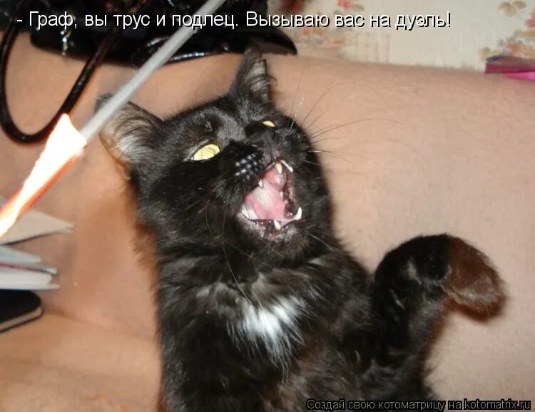 Поручик ржевский приколы. Поручик вы трус и подлец. Трус и подлец. Если бы я имел коня это был бы номер. Пиво поручик ржевский.