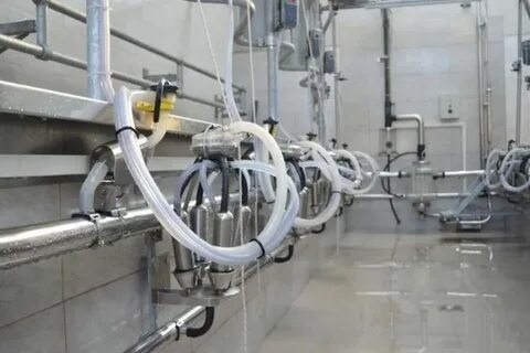 Доильная установка параллель