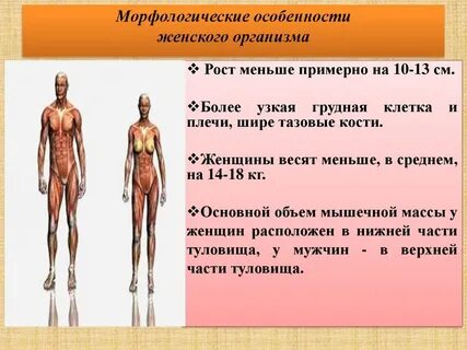 Какие могут быть особенности тела