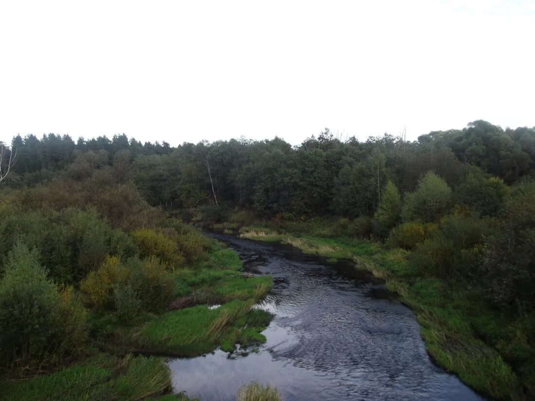 Река 4400 км. Река Руза. Река Городянка Калужская область. Река Озерна Руза. Тучково река и лес.