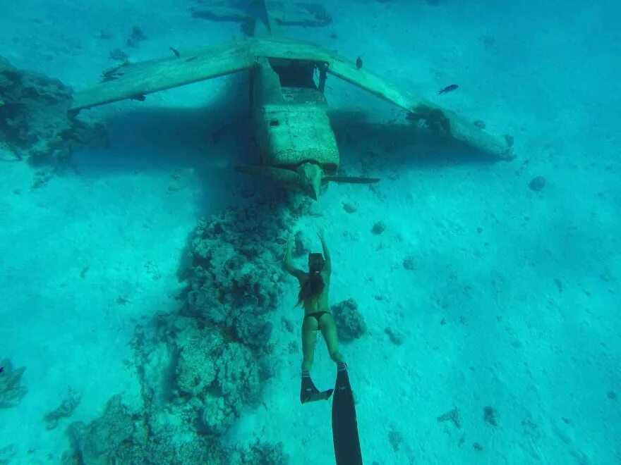 кладбище фридайверов блю холл. кладбище дайверов барбара диллинджер. барбара голубая дыра дахаб. кладбище дайверов. подводный музей дахаб.