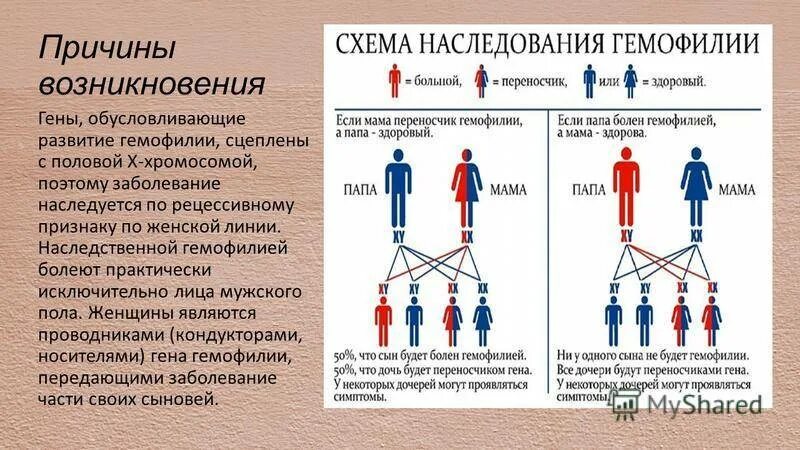 Гемофилия рецессивное заболевание. Клинические симптомы гемофилии. Гемофилия Тип наследования. Болезнь гемофилия Тип наследования. Гемофилия путь наследования.