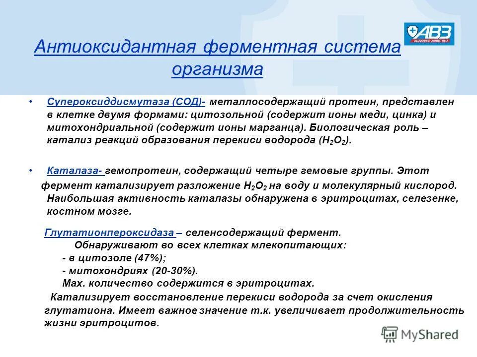 Ферменты антиоксидантной защиты. Действие антиоксидантных ферментов. Антиоксидативные ферменты. Действие антиоксидантных ферментов. Классификация антиоксидантов биохимия.