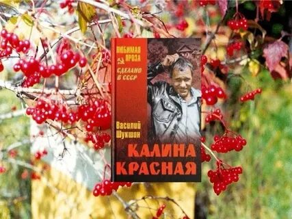 История калины красной