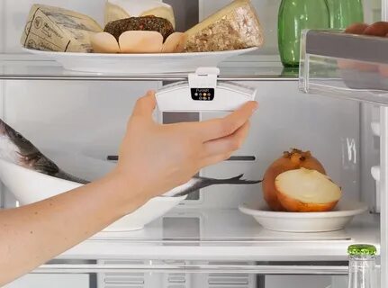 Протухло мясо в холодильнике как избавиться
