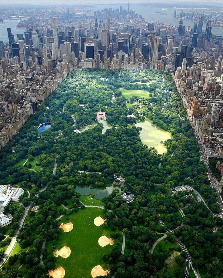 New central. Централ парк Нью-Йорк. Грин парк Нью Йорк. Гайден парк Нью-Йорк. Манхэттен Центральный парк.