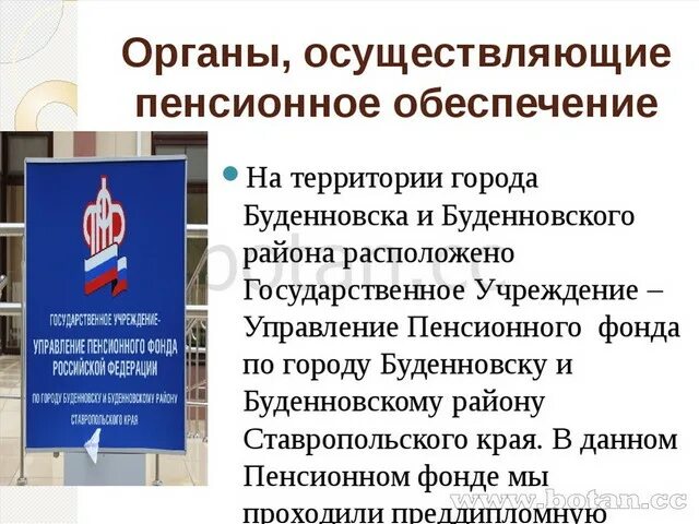 Государственное управление пенсиями. Органы осуществляющие пенсионное обеспечение. Органы социального и пенсионного обеспечения. Виды органов пенсионного обеспечения. Органы осуществляющие выплату пенсии схема.