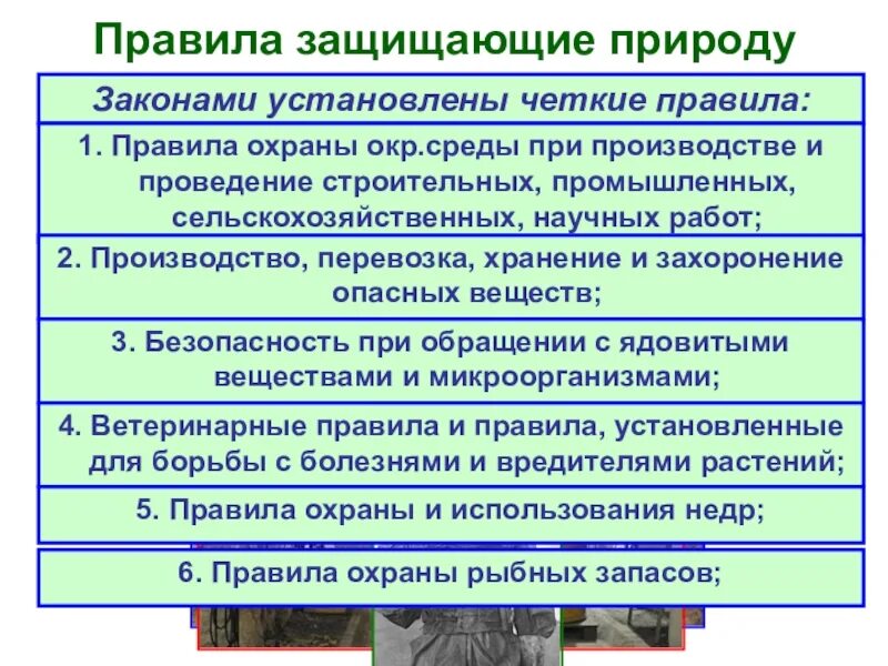 Что делает государство для охраны окружающей. Правила охраны окружающей среды. Правила защищающие природу. Правила как защитить природу. Требования охраны окружающей среды.