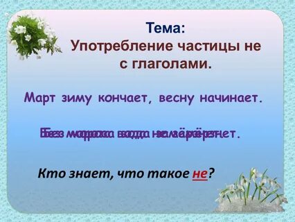 Не употребляю частицу не