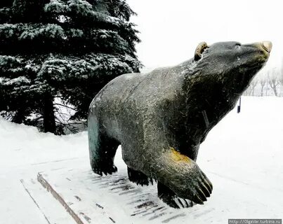 Медвежонок пермь