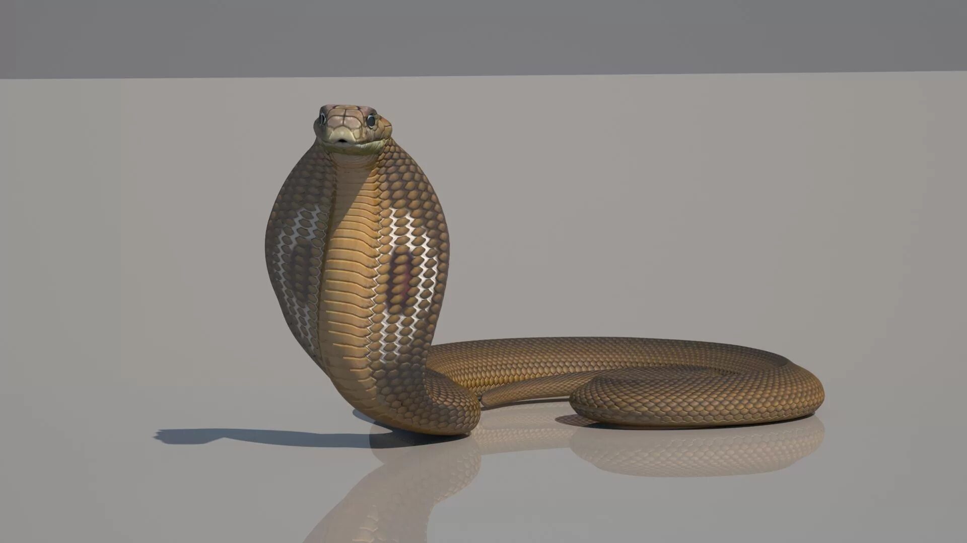 D cobra. Скелет королевской кобры. 3d модель кобры. Королевская Кобра 3 д. Змея 3д модель.