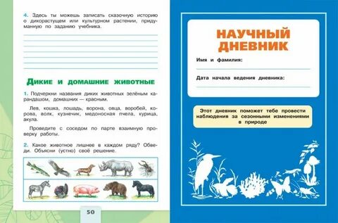 Дневник наблюдения окружающий мир 4 класс