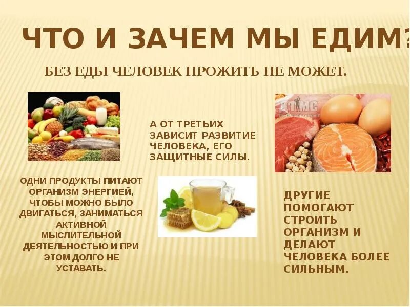 Почему человек не может жить 1