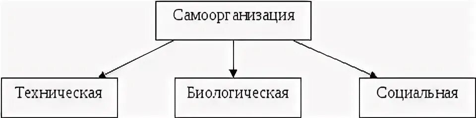 Техническое биологическое социальное управление