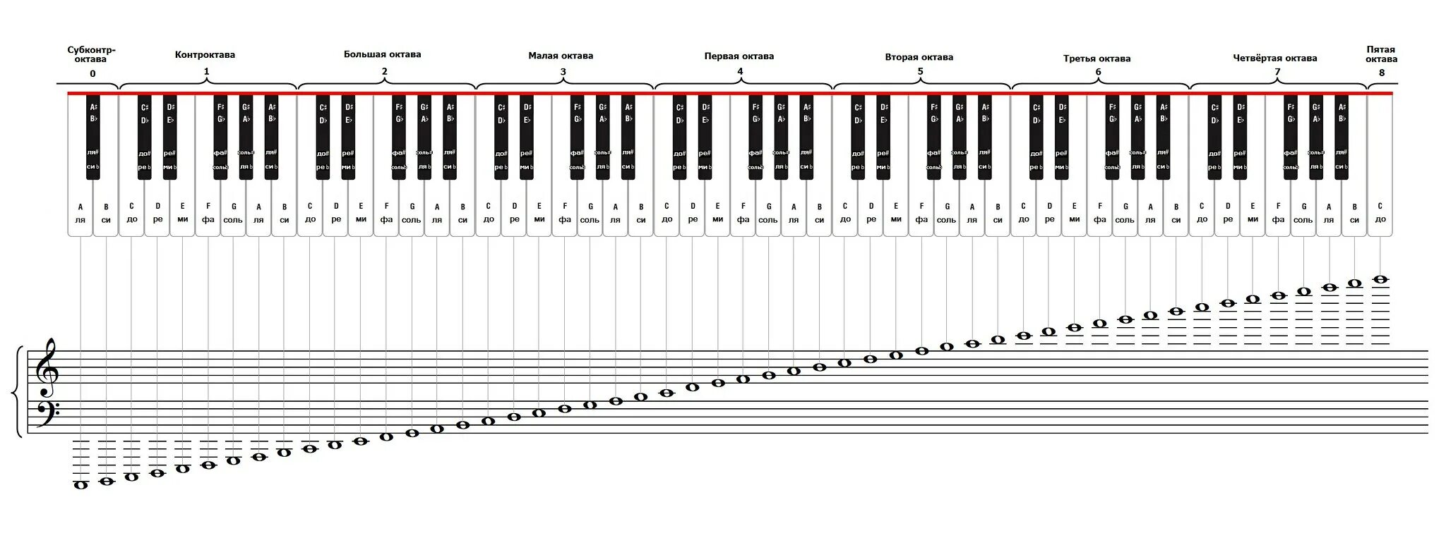 Without notes. Схема синтезатора 1 Октава. Расположение нот на пианино 88 клавиш. Соответствие нот клавишам фортепиано. Октава басового ключа фортепиано.