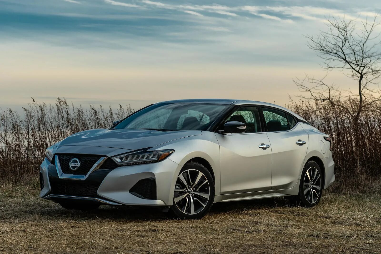 Ниссан ампера. Nissan maxima 2019. Новый Ниссан Максима 2019. 2016 Nissan maxima a36. Nissan maxima 2017.