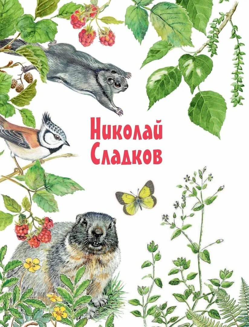 Сладков книги о животных. Обложка книги о природе. Книги н Сладкова для детей. Сказки сладкова о животных