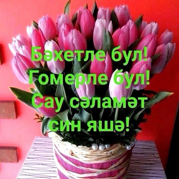 Рэхмэт сина