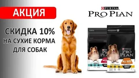 Акция корма