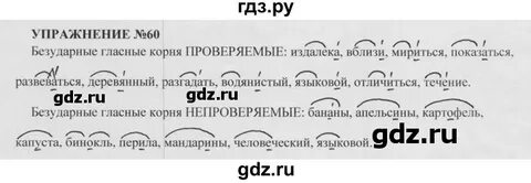 Упр 60 русский язык 5 класс