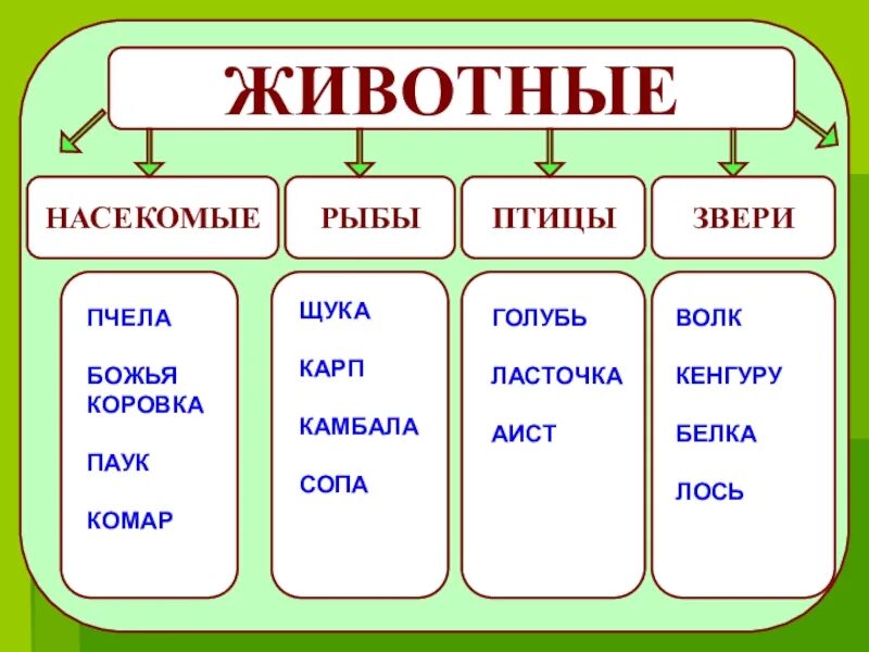 Животные звери птицы рыбы насекомые. Презентация : животные : звери, рыбы, птицы, насекомые. Рыбы и насекомые. Группы животных насекомые рыбы.