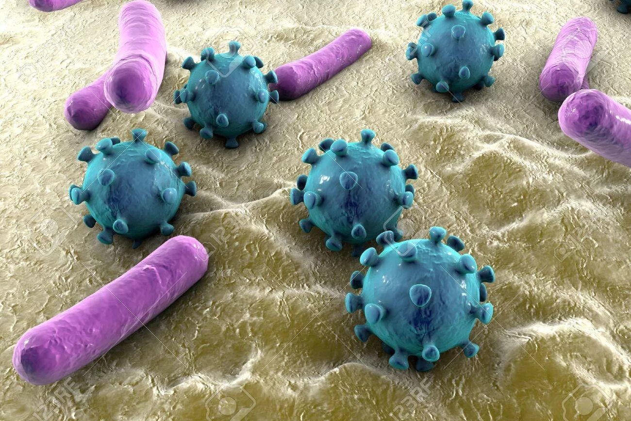 модель вируса из пластилина. сделать вирус из пластилина. лепка микробы. микробы из пластилина. сделать вирус из пластилина.