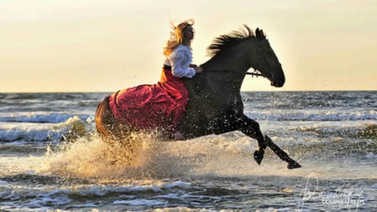 Лошади и море. Девушка мчится на лошади. Девушка на коне мчит. Лошадь скачет.