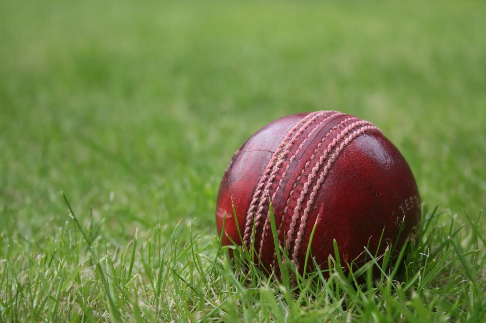 Игра мяч на траве. Мяч для крикета. Крикет спорт. Мяч для лапты. Спортивные мячи на траве.