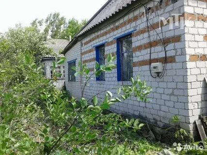 Прилепы пристенского