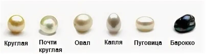 Вид жемчуга 6 букв
