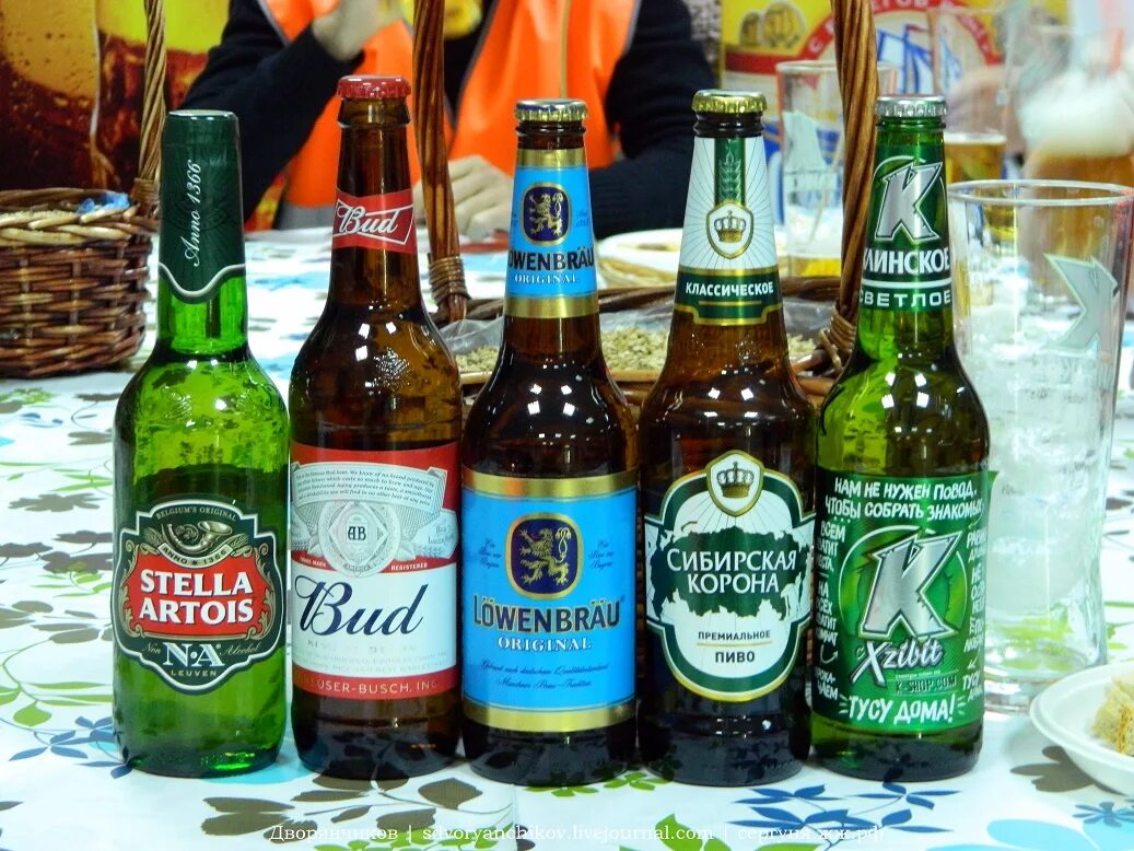 Где сейчас пиво купить. Пиво. Российское пиво в бутылках. Бутылочное пиво названия. Пиво популярное в бутылке.