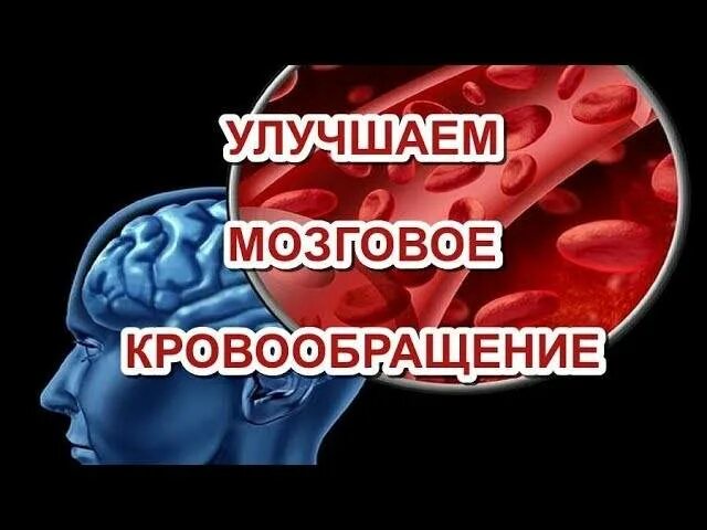 Улучшение кровообращения мозга. Как улучшить кровообращение. Как восстановить мозговое кровообращение. Как улучшить кровообращение мозга. Улучшится кровообращение