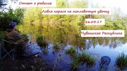 Отчет водоема