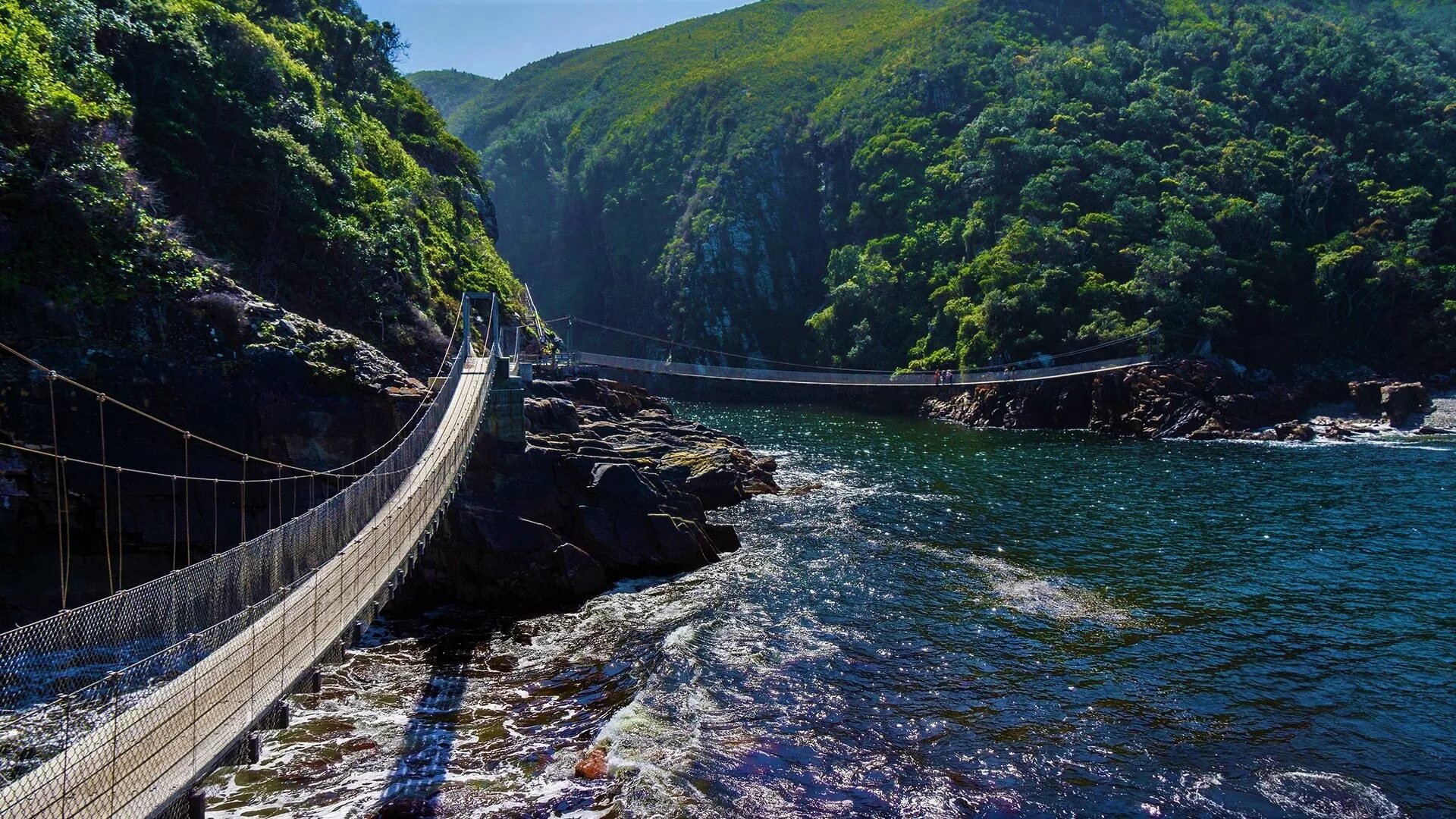 Парк Тситсикамма ЮАР. Тситсикамма парк. Tsitsikamma National Park. Река шторм ЮАР. Tsitsikamma National Park Storm River.