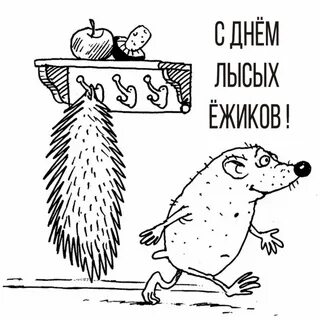 20 августа картинки прикольные