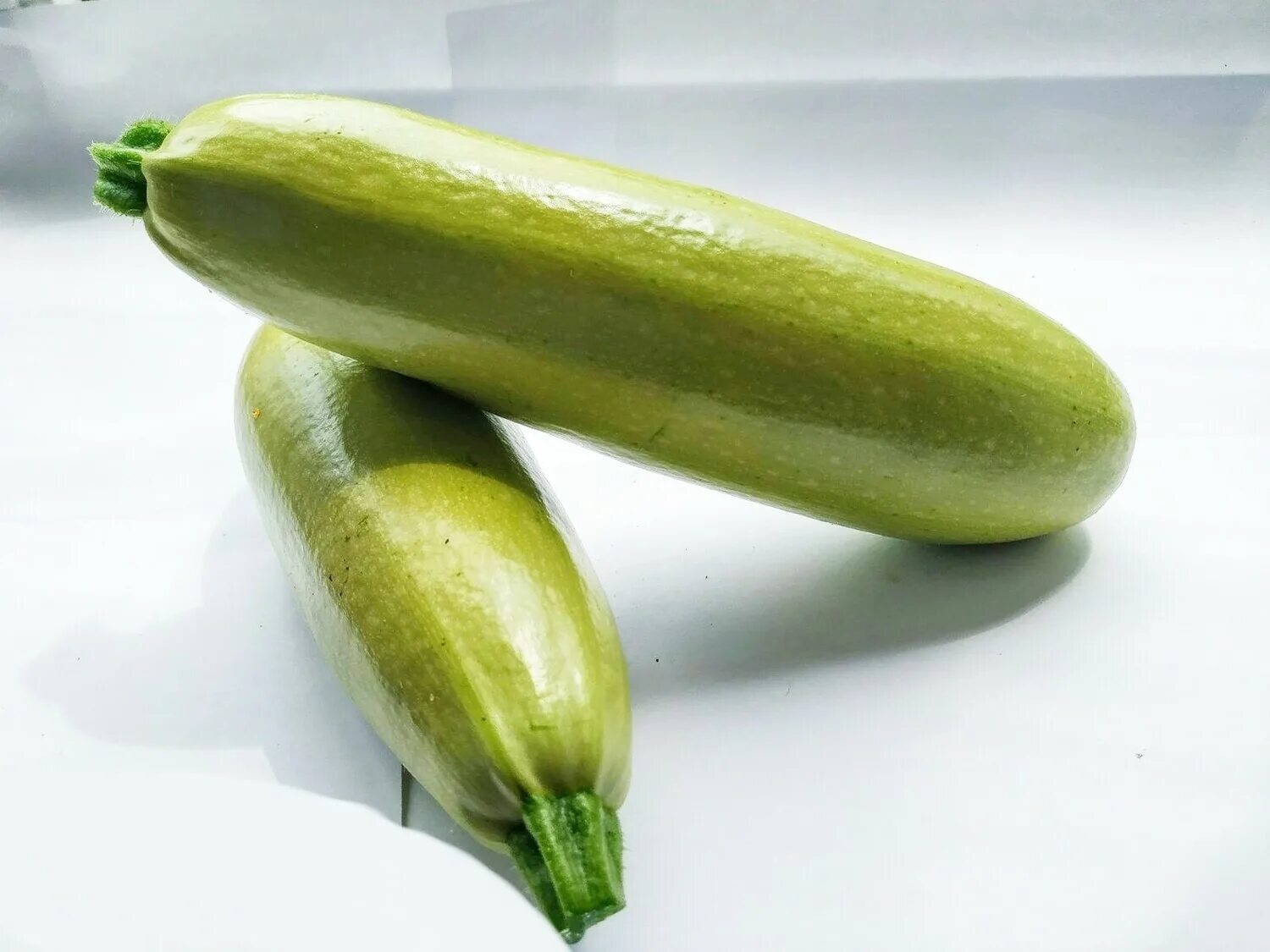 Маленький кабачок. Кабачки сорта. Цукини и кабачки. Кабачок цуккини аэронавт. Кабачок сударь.