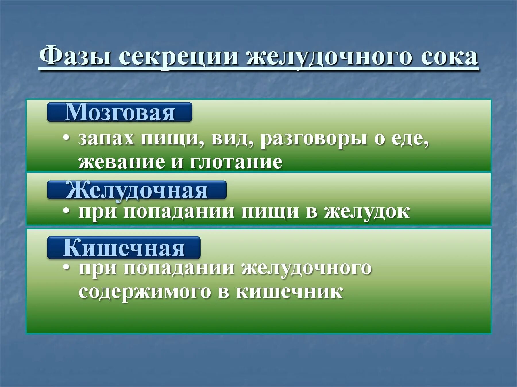 Фазы секреции по павлову. Желудок фазы секреции желудочного сока. фазы желудочной секреции физиология. фазы желудочного сокоотделения. фазы регуляции секреции желудочного сока.