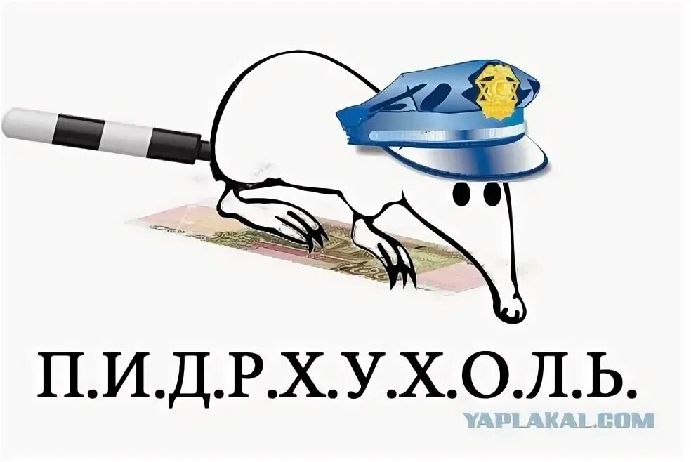 Анекдот ежик выхухоль. Выхухоль стикер. выхухоль вк. выхухоль стикер вк. выхухоль наклейка.