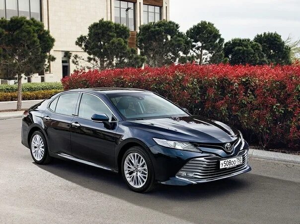 Toyota camry 2017 - 2021 xv70 белый. Тойота corolla 2013. То 8 тойота. Тойота gts. 5 2023.