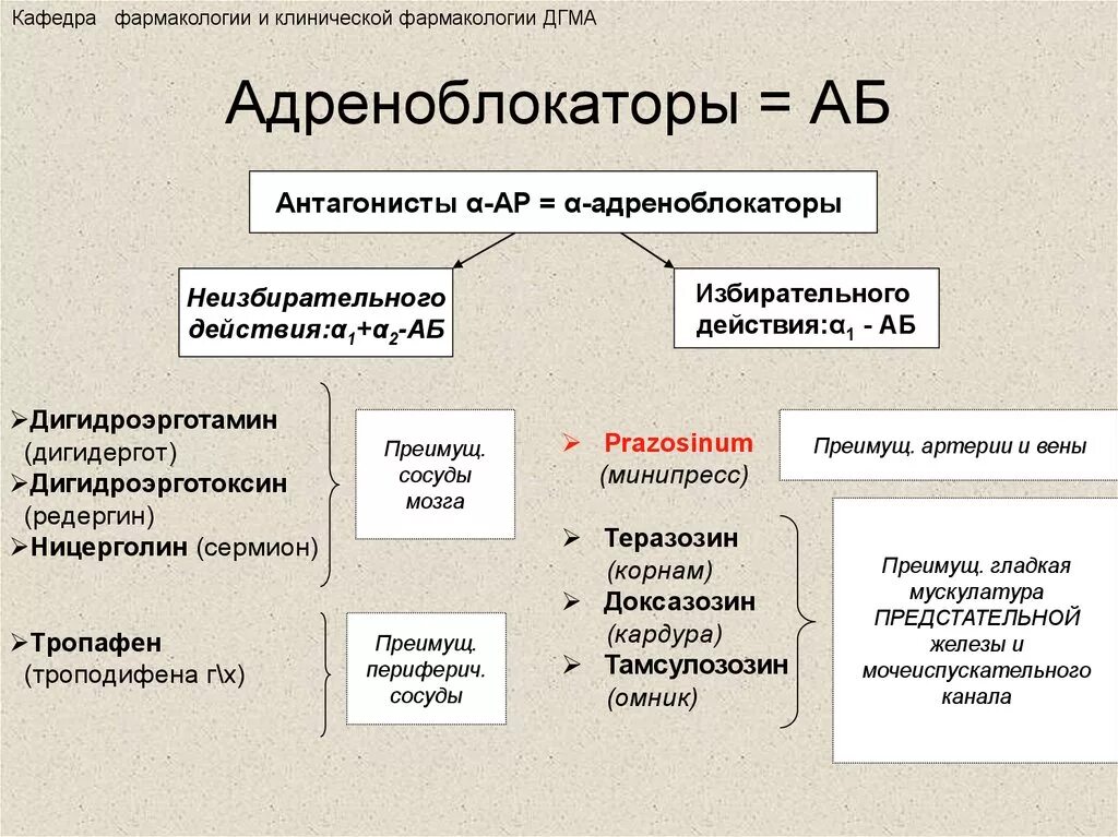 К группе блокаторов относится. Адреноблокаторы классификация фармакология. Адреноблокаторы механизм действия фармакология. Классификация адреноблокаторов (препараты).. Селективные в1 адреноблокаторы препараты.