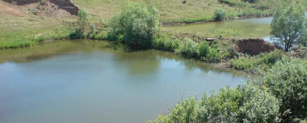 Село Орловка Самарская область. Орловка Сергиевский район. Сергиевский район Самарская область. Чекалино Самарская область Сергиевский.