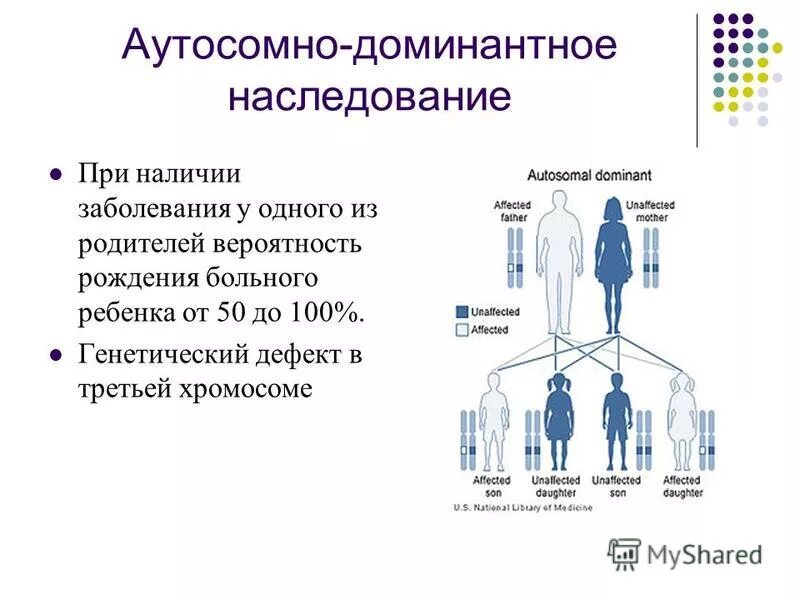 Аутосомные хромосомы заболевание. Аутосомно-доминантный Тип наследования. Генные наследственные заболевания аутосомно-доминантные. Аутосомно-рецессивный Тип заболевания. Аутосомно-доминантный Тип наследования болезни.