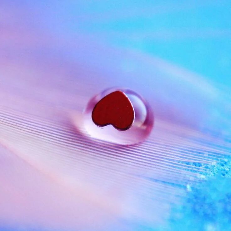 Heart healing. Heart drops гайд. что значит сердце с каплей.